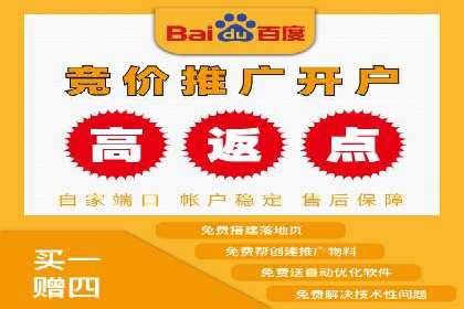 SEM推广优化策略：实战案例分析